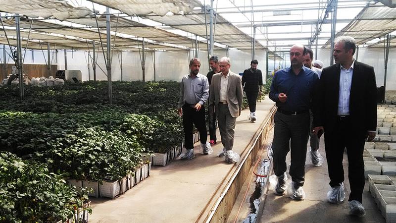 اردبیل و فرصتهای سرمایهگذاری در تولید بذر و گیاه دارویی