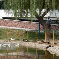 آسمان صاف کشور طی پنج روز آینده