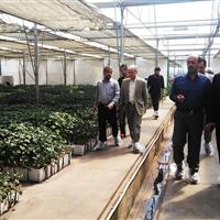 اردبیل و فرصت‌های سرمایه‌گذاری در تولید بذر و گیاه دارویی