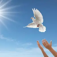 معلمان و دانشآموزان همدانی به مناسبت ۱۳ آبان یک زندانی آزاد کردند