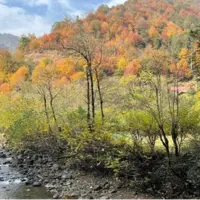 پایداری هوای پاییزی در گیلان