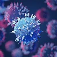 تولید بذر واکسن سویه جدید ویروس تب برفکی در موسسه رازی