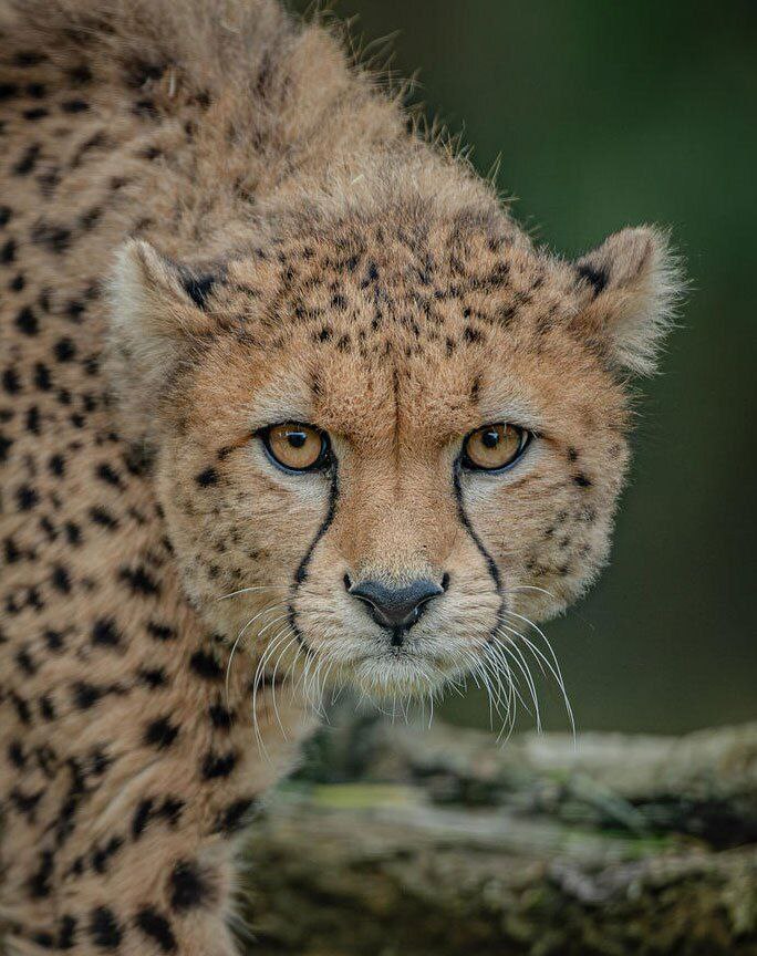 منتخب تصاویر دیدنی های از اتفاقات اخیر 