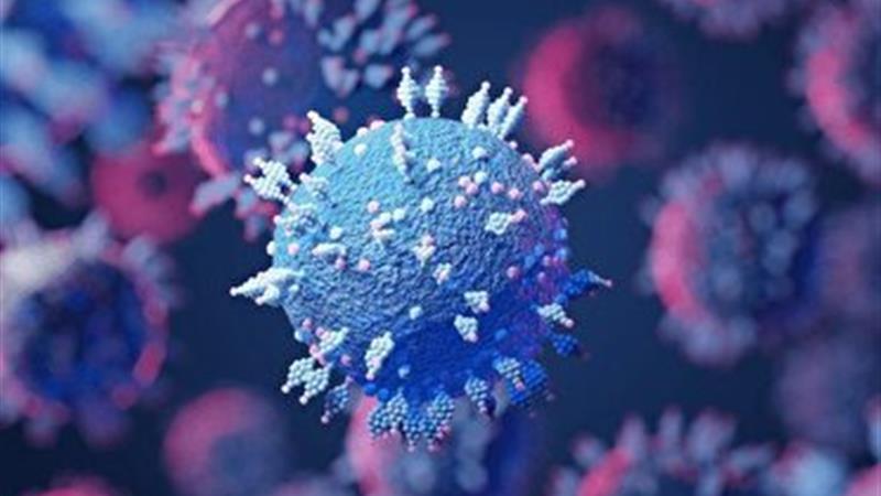 تولید بذر واکسن سویه جدید ویروس تب برفکی در موسسه رازی