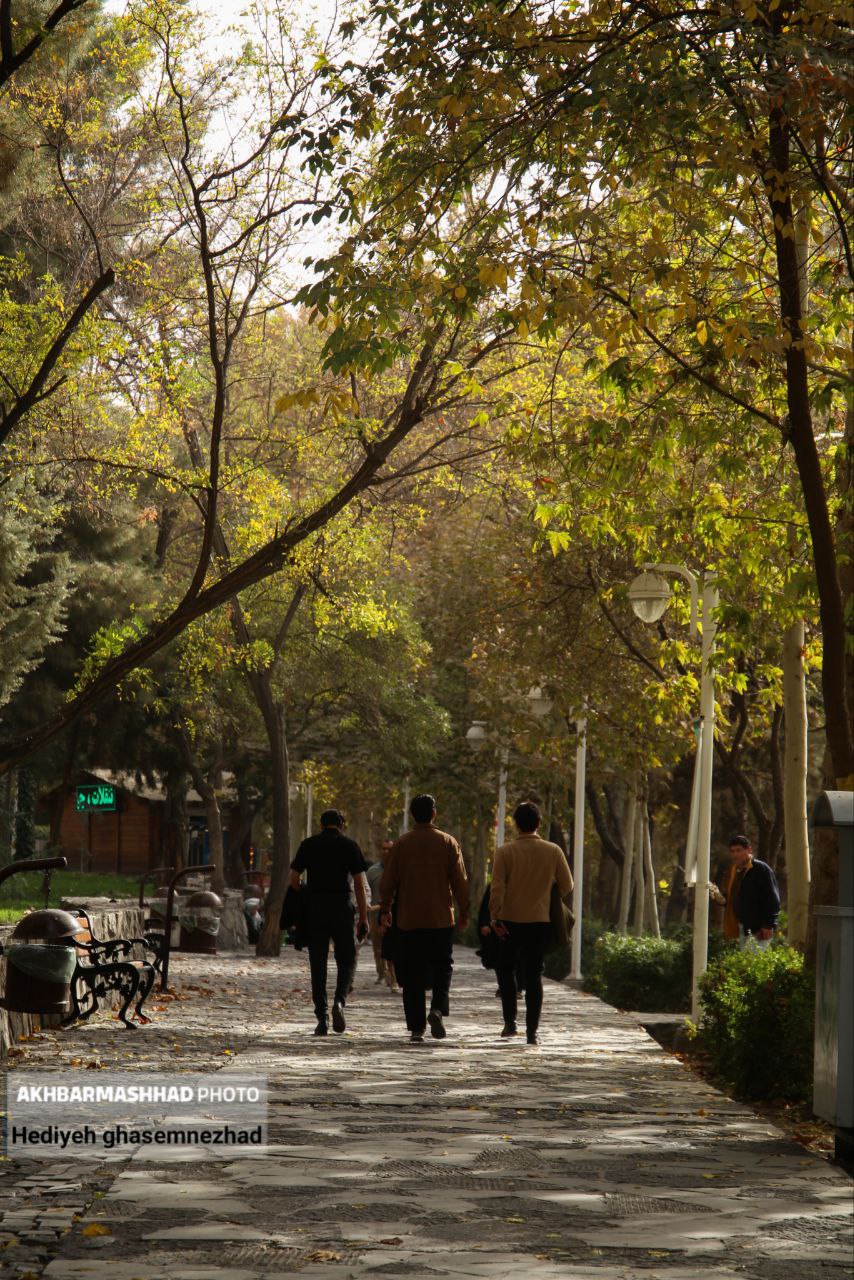 تصاویری از خزان بی‌جانِ مشهد