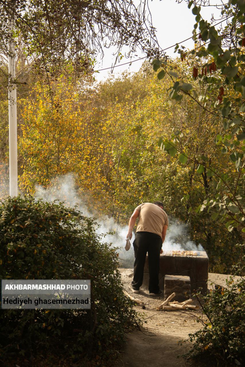 تصاویری از خزان بی‌جانِ مشهد