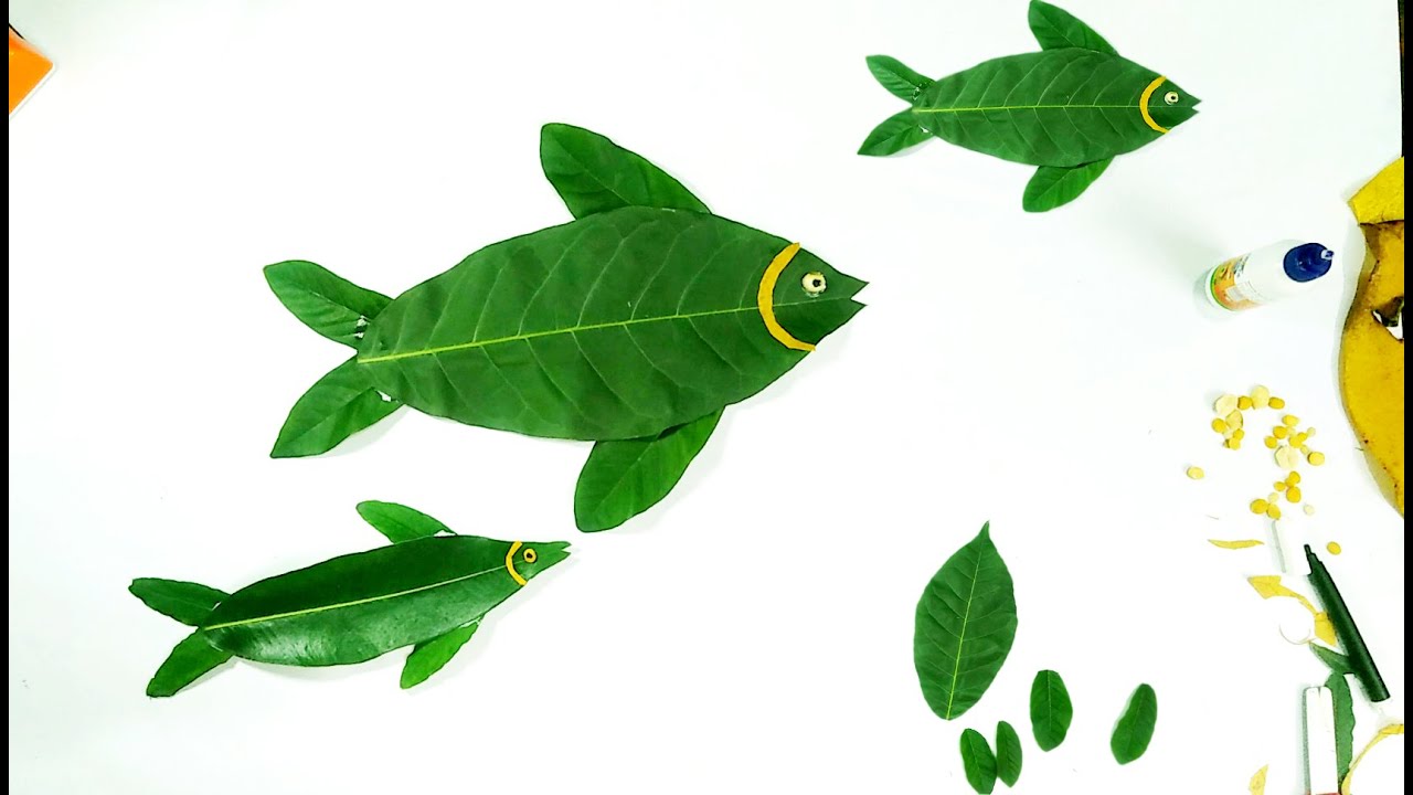 وقتی برگ‌ها شنا می‌کنند