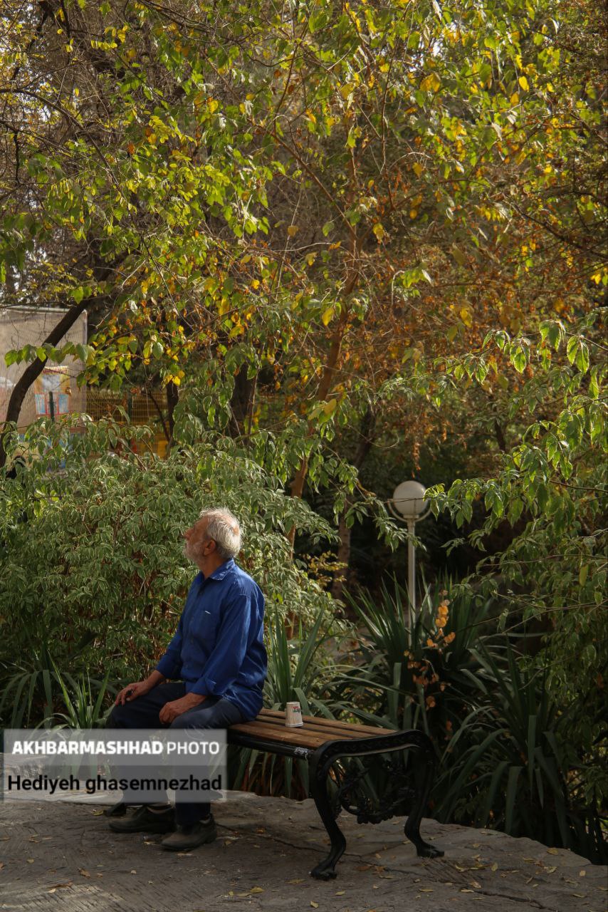 تصاویری از خزان بی‌جانِ مشهد