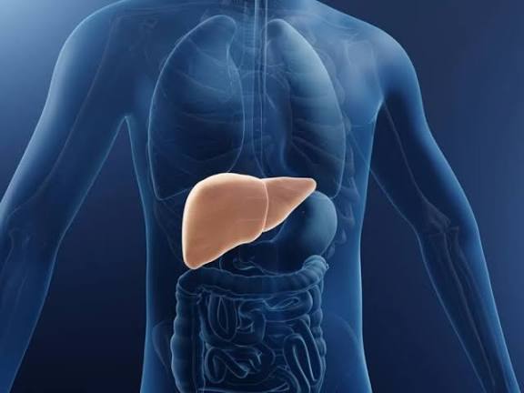 پاکسازی کبد، فقط ۱۴ روز!