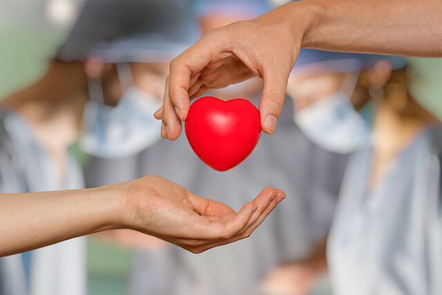  جوان ۱۷ ساله فیروزآبادی به ۳ بیمار نیازمند حیات دوباره بخشید