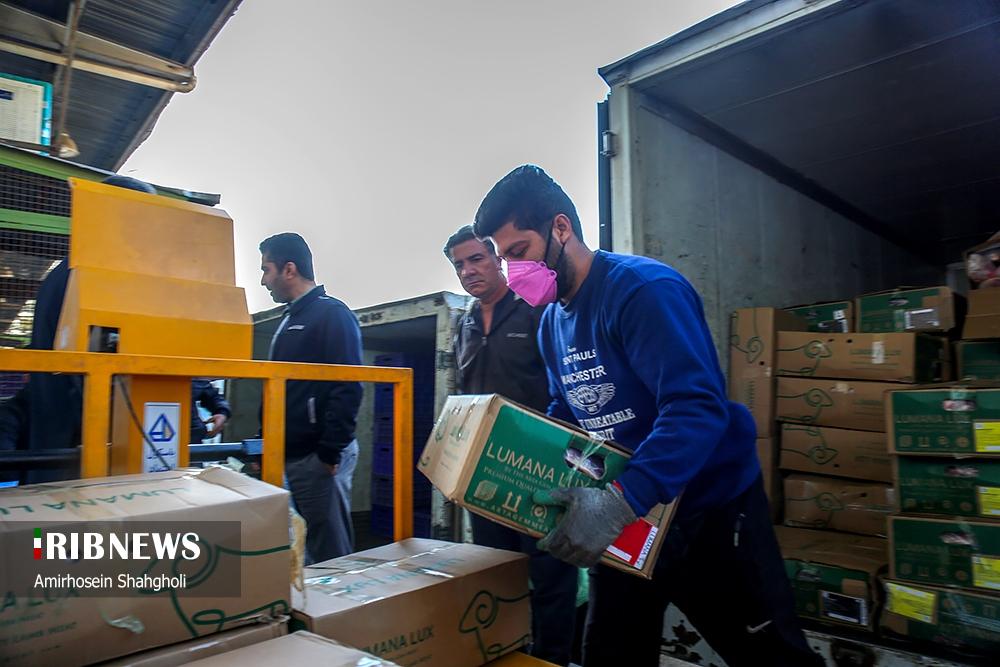 عرضه‌ی گوشت منجمد گوسفندی در میادین میوه و تره‌بار تهران