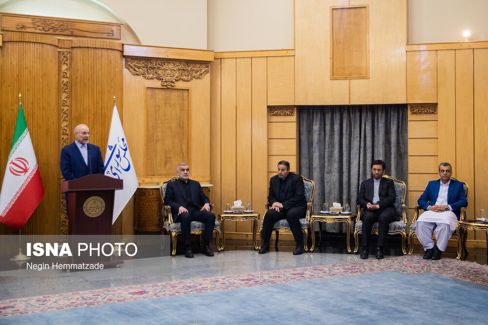 عکس/ مراسم بدرقه رسمی رئیس مجلس به کشور پاکستان