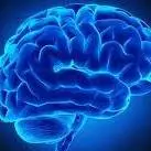 مغز چگونه برخی خاطرات را هرگز از یاد نمیبرد؟