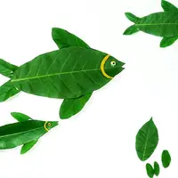 وقتی برگ‌ها شنا می‌کنند