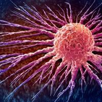 انقلابی در درمان سرطان؛ نابودی تومورها بدون آسیب به سلولهای سالم