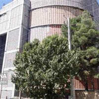 تکمیل «برج هنر ایلام» نیاز به ۲۵۰ میلیارد تومان اعتبار دارد