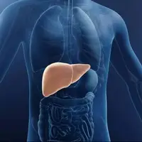 پاکسازی کبد، فقط ۱۴ روز!