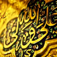 کشتی نجات اسلام است و سکاندار آن امیر المومنین 