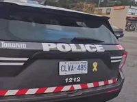 ماشنپلیس مظنون را زیر گرفت !