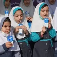 توضیح وزیر آموزش و پرورش درباره توزیع شیر در مدارس