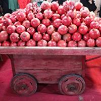 کاهش ۳۵ درصدی لایه داخلی شریان کاروتید با نوشیدن آب انار