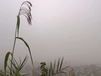 چتر گردوخاک بر سر بندرعباس + عکس