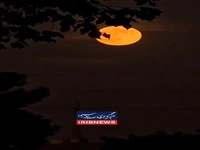 هم اکنون درخشان ترین ماه سال ۱۴۰۴ در تهران