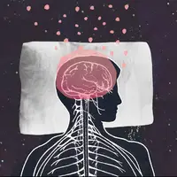 راز فعالیت شبانه مغز/ چرا مغز در خواب فعال‌تر از بیداری است؟