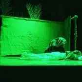 نفس به سینه من در شماره افتاده...