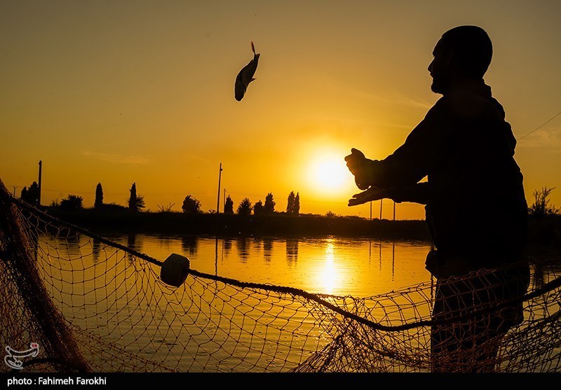 تولید برای محرومیت زدایی؛ پرورش ماهی