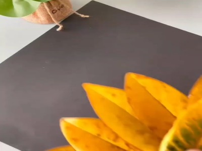 کاردستی فرفره با برگ های پاییزی