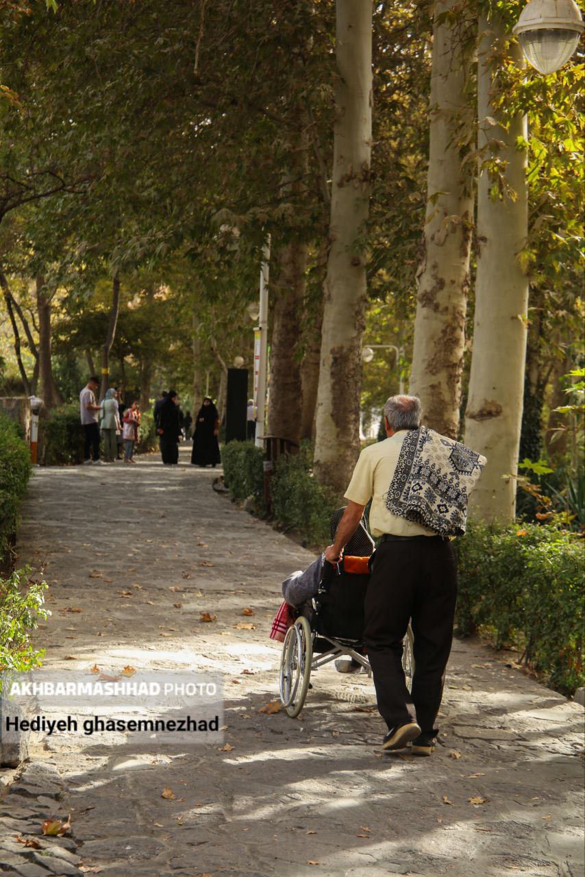 تصاویری از خزان بی‌جانِ مشهد