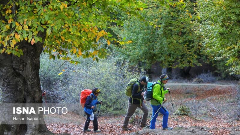 دانشآموخته دکترای محیط زیست: کوهنوردان در خط مقدم حفاظت از زیستبومهای مرتفع باشند