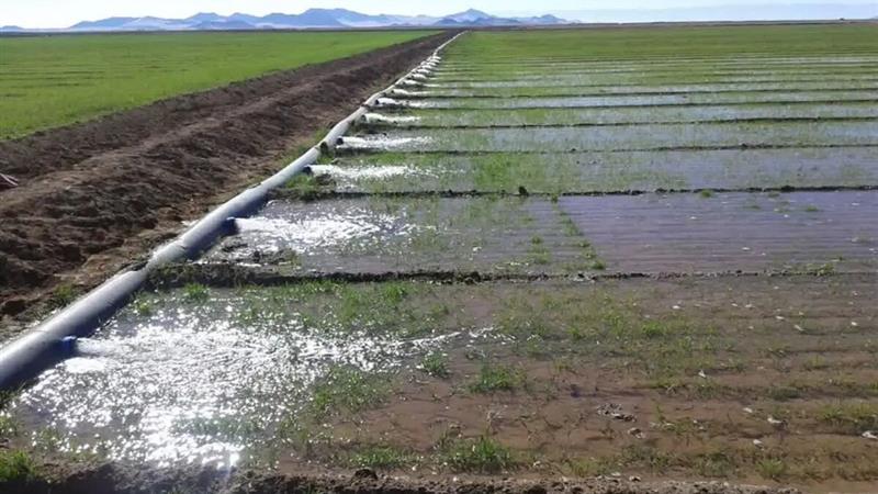 ۹۰۰ هکتار از اراضی خراسان جنوبی زیر پوشش سامانههای نوین آبیاری قرار گرفت