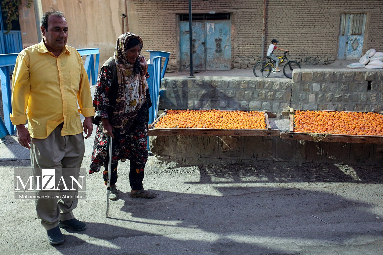 خُرو؛ پایتخت آلوی ایران