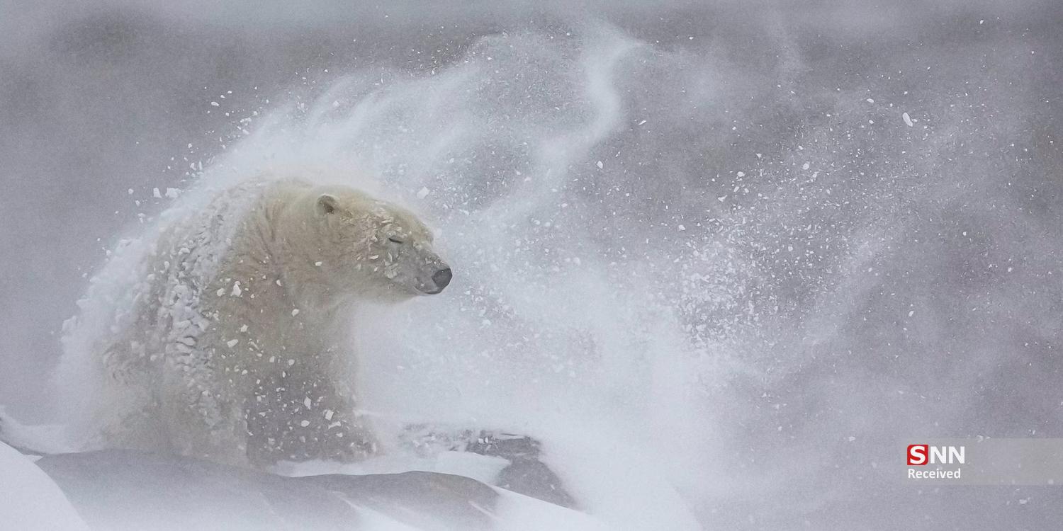 عکس/ برندگان مسابقه عکاسی پانوراما اپسون ۲۰۲۵