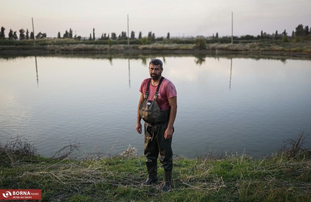 پرورش ماهی در آزادشهر گلستان
