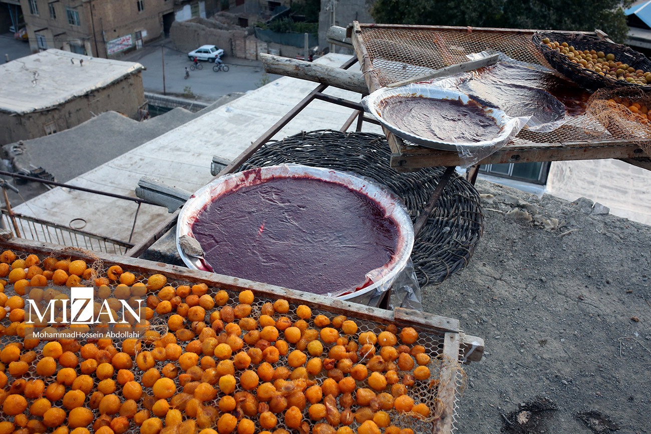 خُرو؛ پایتخت آلوی ایران