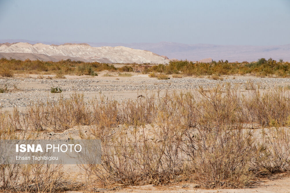 عکس/ قزل اوزن؛ آیینهی بحران آب ایران