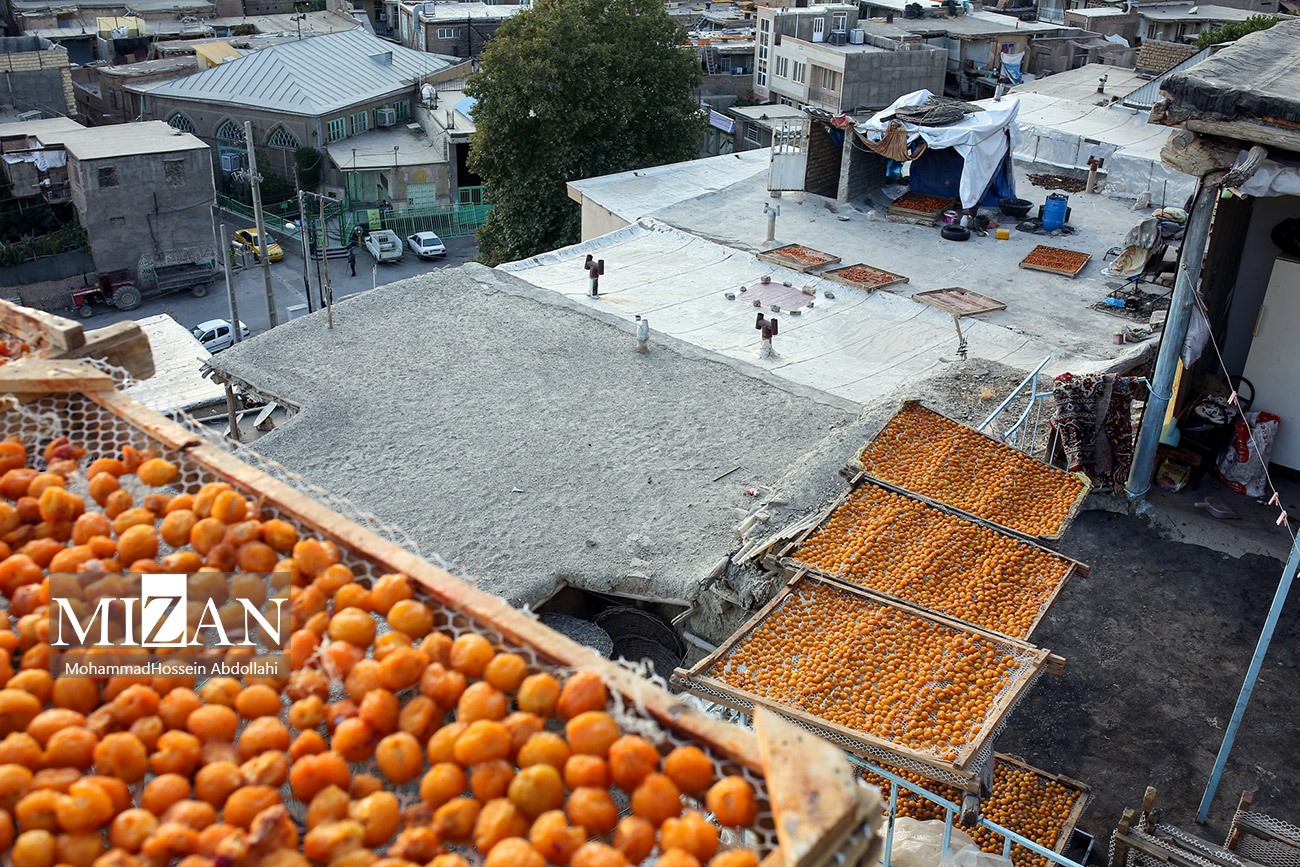 خُرو؛ پایتخت آلوی ایران