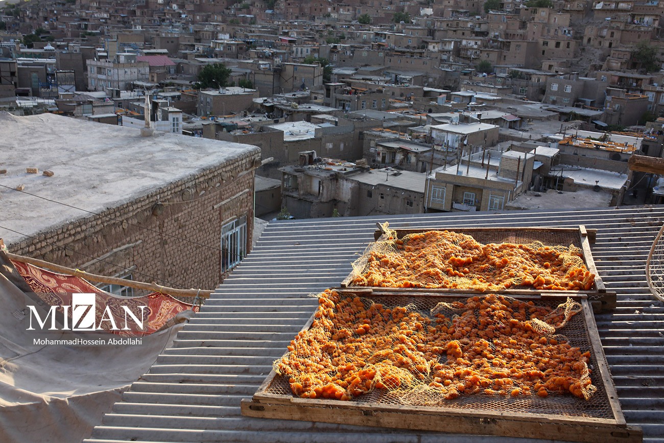 خُرو؛ پایتخت آلوی ایران