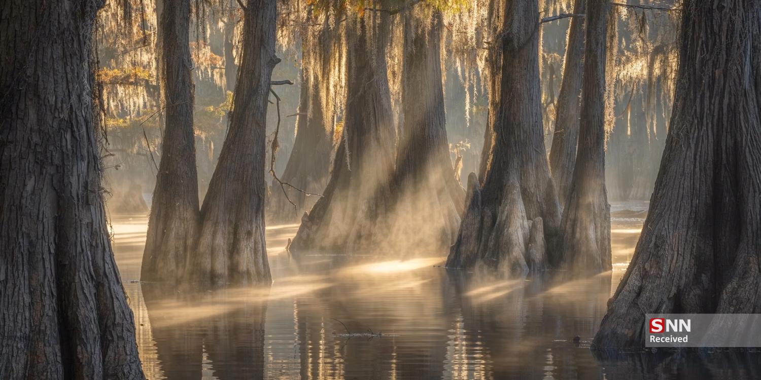 عکس/ برندگان مسابقه عکاسی پانوراما اپسون ۲۰۲۵