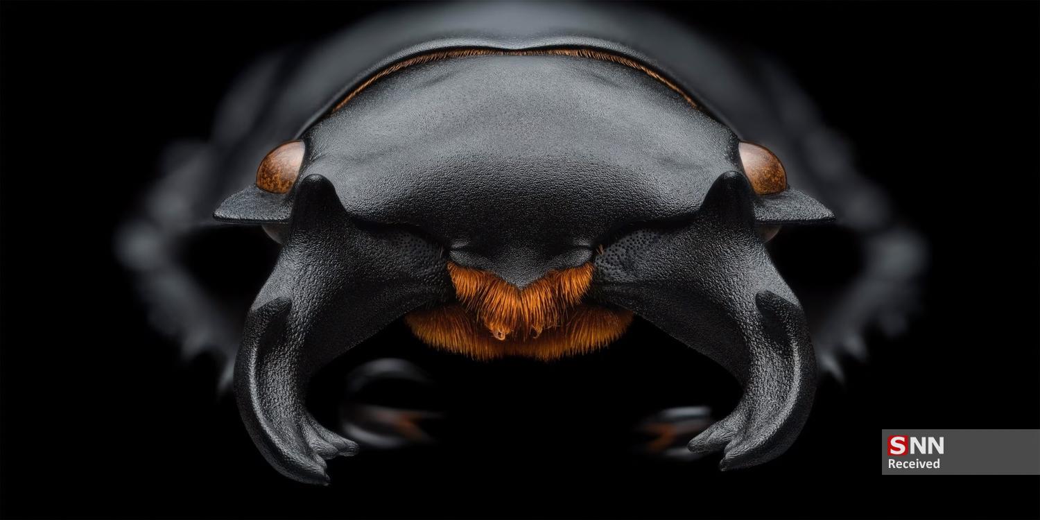 عکس/ برندگان مسابقه عکاسی پانوراما اپسون ۲۰۲۵