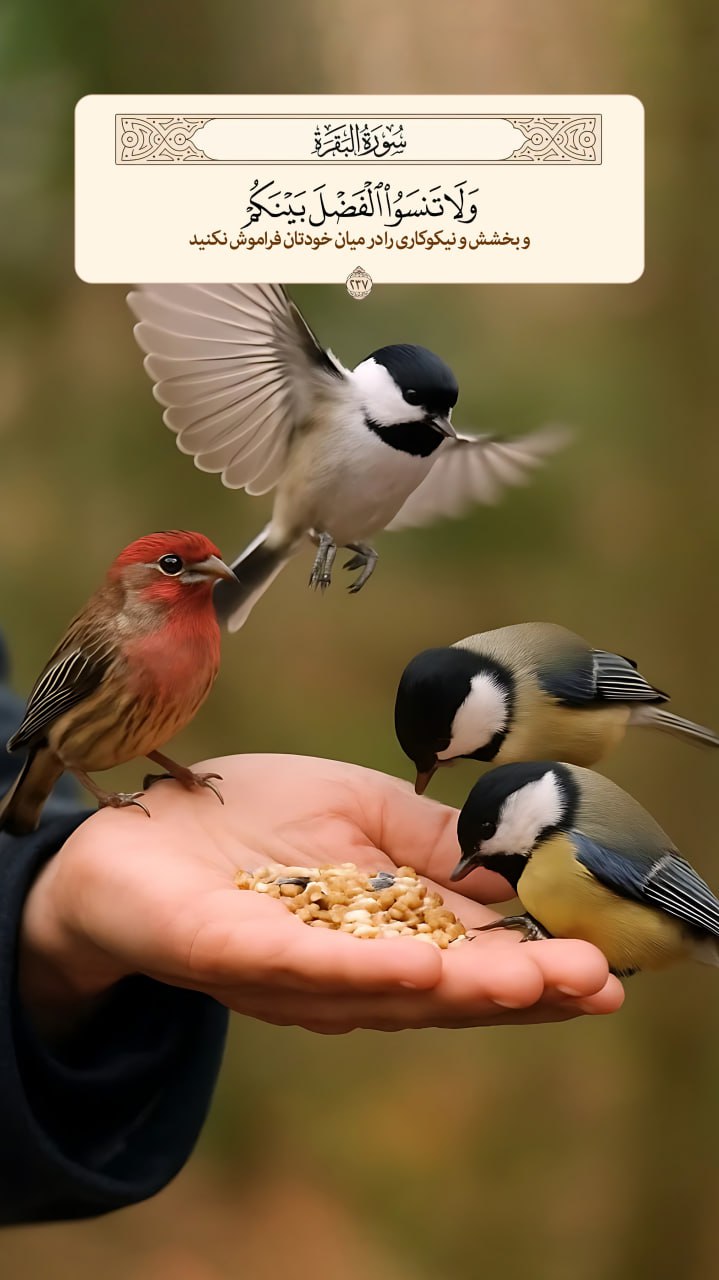 طرح/ اهمیت بخشش و نیکوکارى