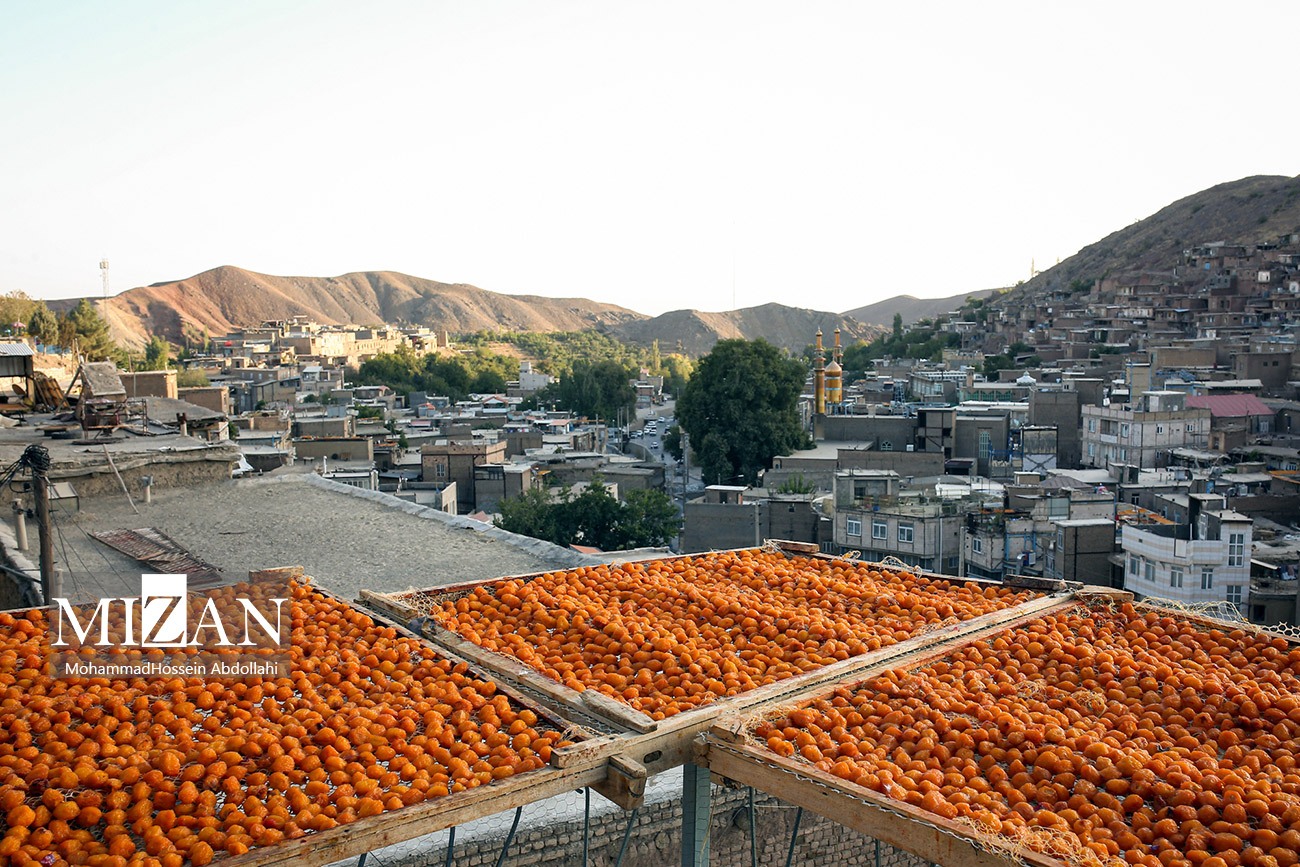 خُرو؛ پایتخت آلوی ایران