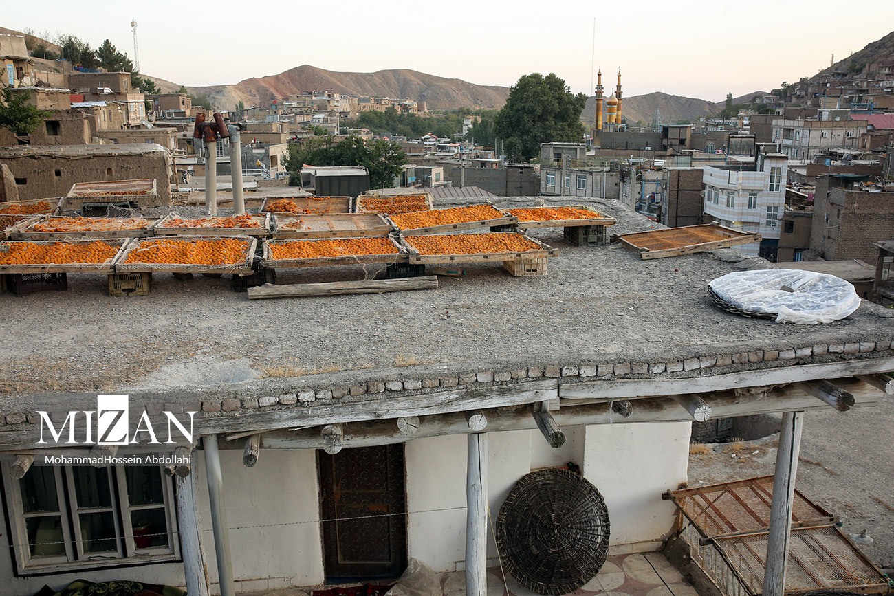 خُرو؛ پایتخت آلوی ایران