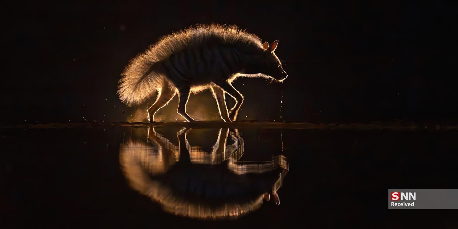 عکس/ برندگان مسابقه عکاسی پانوراما اپسون ۲۰۲۵