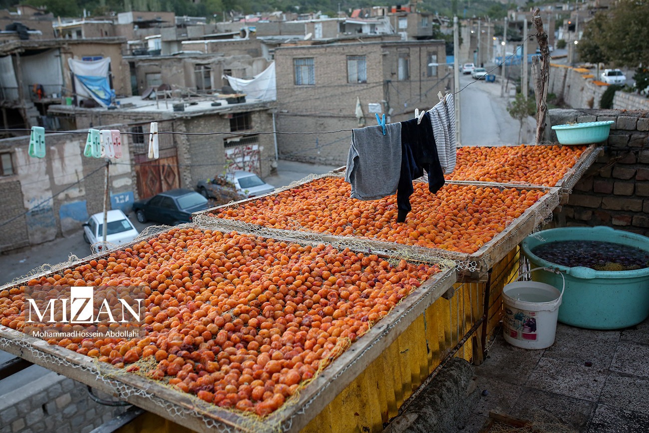 خُرو؛ پایتخت آلوی ایران