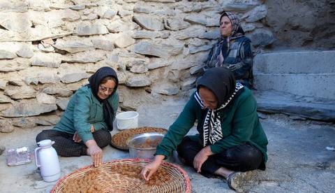 چه کسانی میتوانند در صندوق بیمه اجتماعی روستاییان خود را بیمه کنند؟