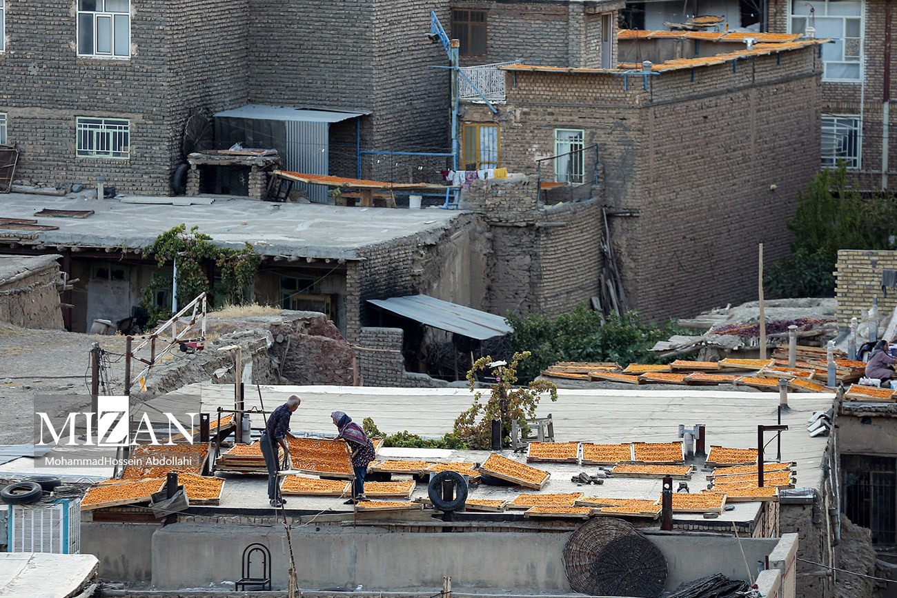 خُرو؛ پایتخت آلوی ایران